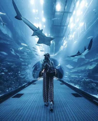Pannello trasparente trasparente tunnel dell&#39;acquario acrilico di lusso