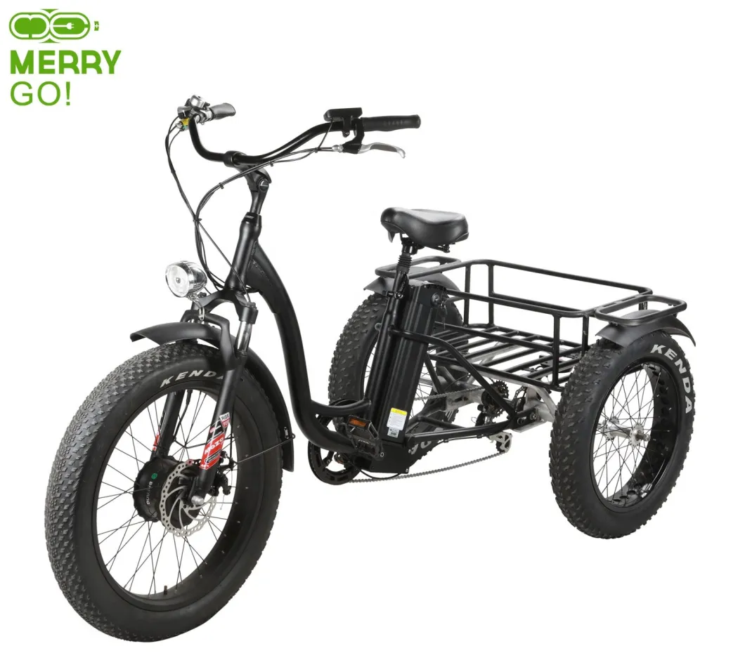 500W Front Drive Three Wheel Electric Tricycle for Adults