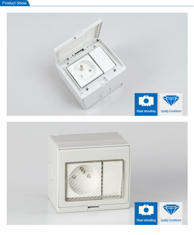 SAIPWELL/SAIP French Style IP55 Electrical Wall Mounting Waterproof Switch Socket(SP-FRS)