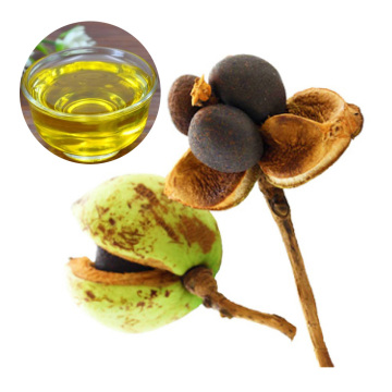 Wild Grow  Camellia seed Oil