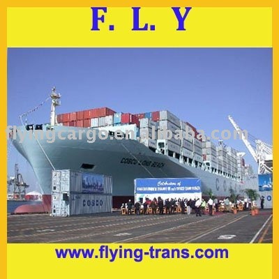 Professional sea freight service