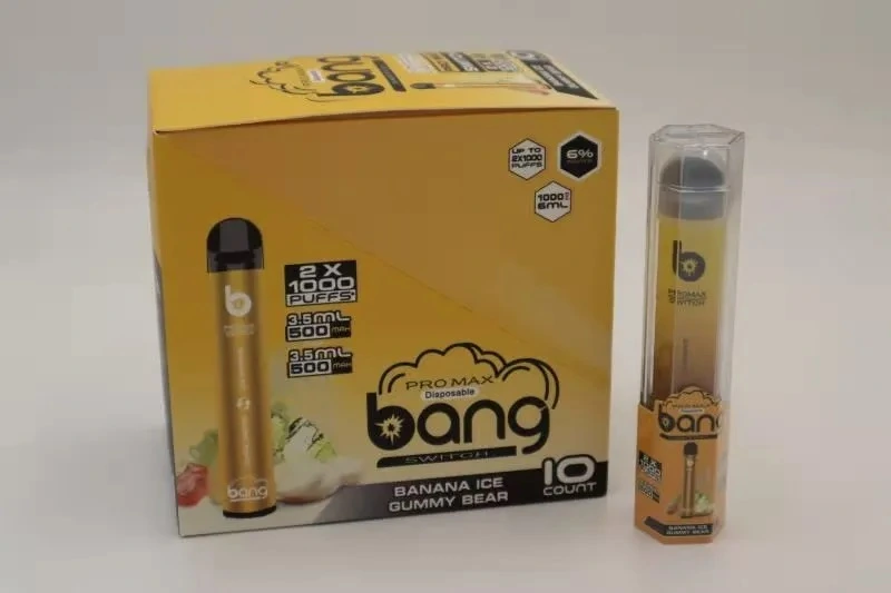 2021 Popular New Puff 1000puffs+1000 Puffs E Cigarette High Quality Disposable Vaporizer Vape Bang PRO Max Swtich 2 in 1