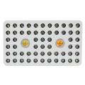 Cree COB LED Grow Light com lente ótica