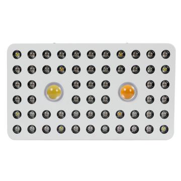 Cree COB LED Grow Light com lente ótica