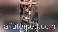 Stainless Steel Pet ICU Oxygen Cabin for Vet Hospitals