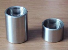 Stainless Steel Female Threaded Coupling (YZF-P137)