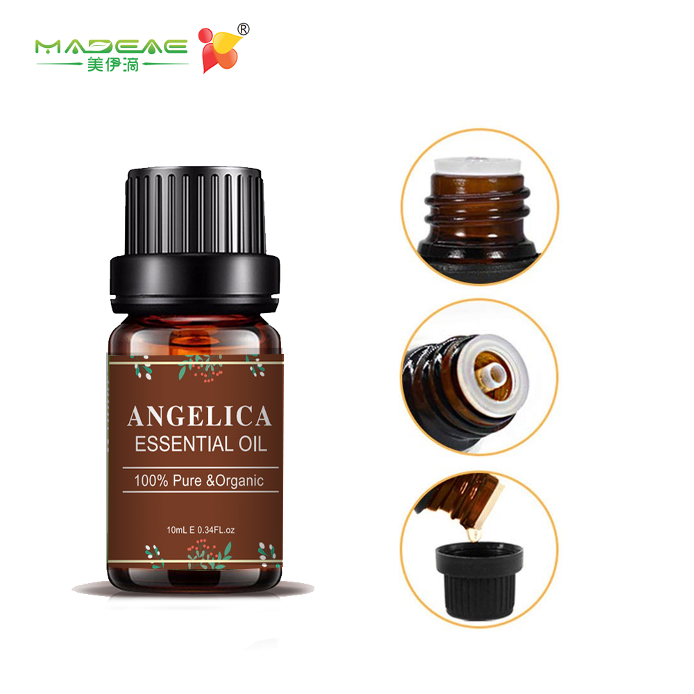 Angelica Aroma Perfume Fragrância Bulk Pure Essential Oil