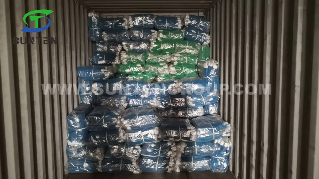 Japan Standard Blue Fire Retardant Debris/Building/Construction/Scaffold/Scaffolding/PVC Mesh Sheet