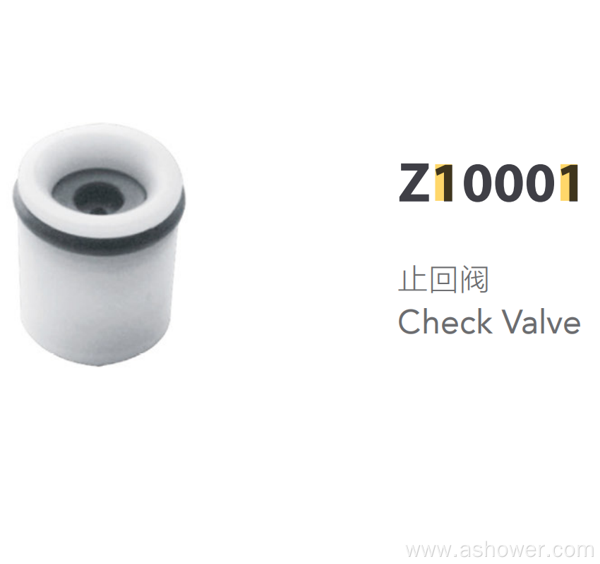 ABS Plastic Check Valve