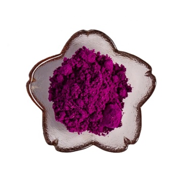 freeze dried red pitaya fruit ppowder