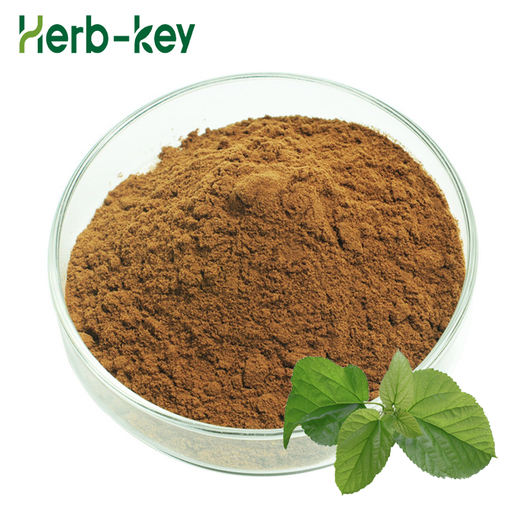 Natural Mulberry Leaf extract 5% Deoxynojirimycin