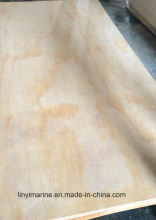 Pine Wood Lumber E/F Grade