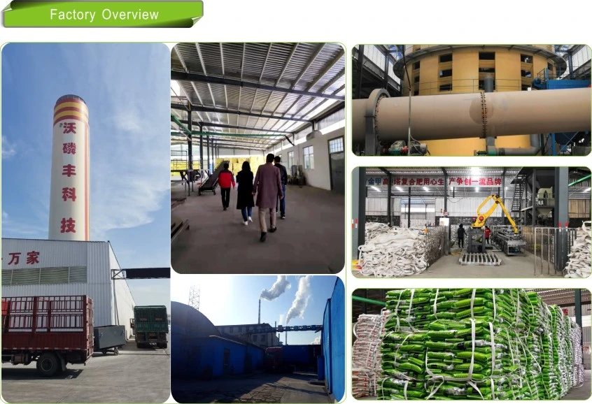 Bb Slow-Release Fertilizer 21-2-10+ Te for Agriculture
