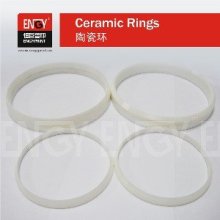 zirconia eliptical ceramic ring&ink cup for closed ink pad printing machine