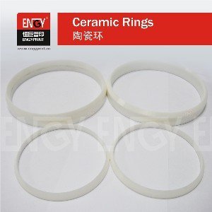 zirconia eliptical ceramic ring&ink cup for closed ink pad printing machine