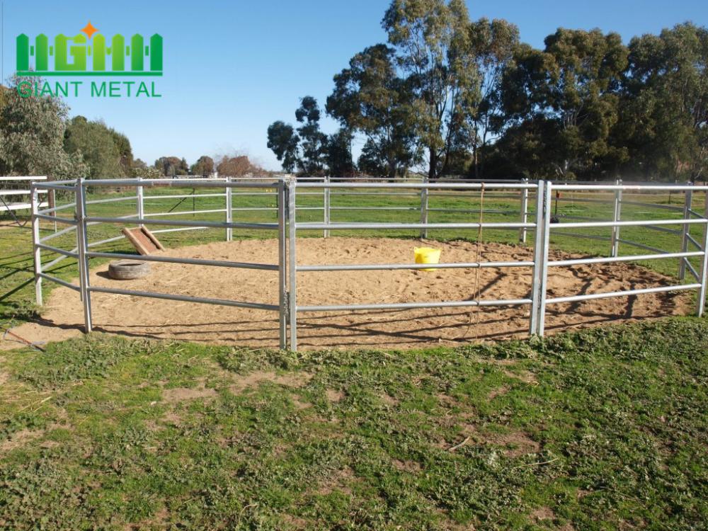 High Quality Hot Sale Galvanized Cattle Horse Fence
