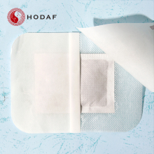 Cleanse Adhesive Remove Body Toxins detox foot patches