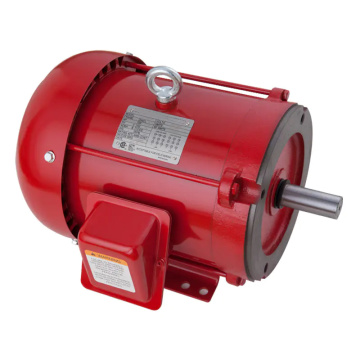 NEMA Üç Fazlı 10HP asenkron motor EPACT premium