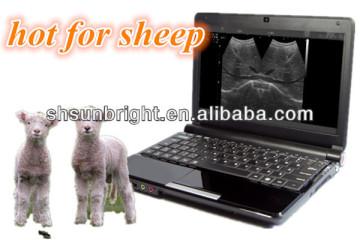 sheep pregnancy ultrasound scanner