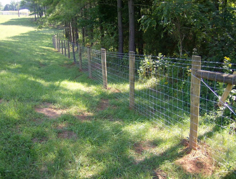 farm guard filed fence fixed knot deer fence