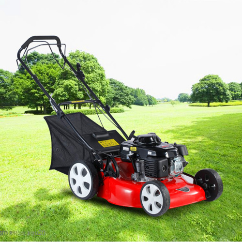 173cc Displacement Gasoline Self-propelled Lawn Mower