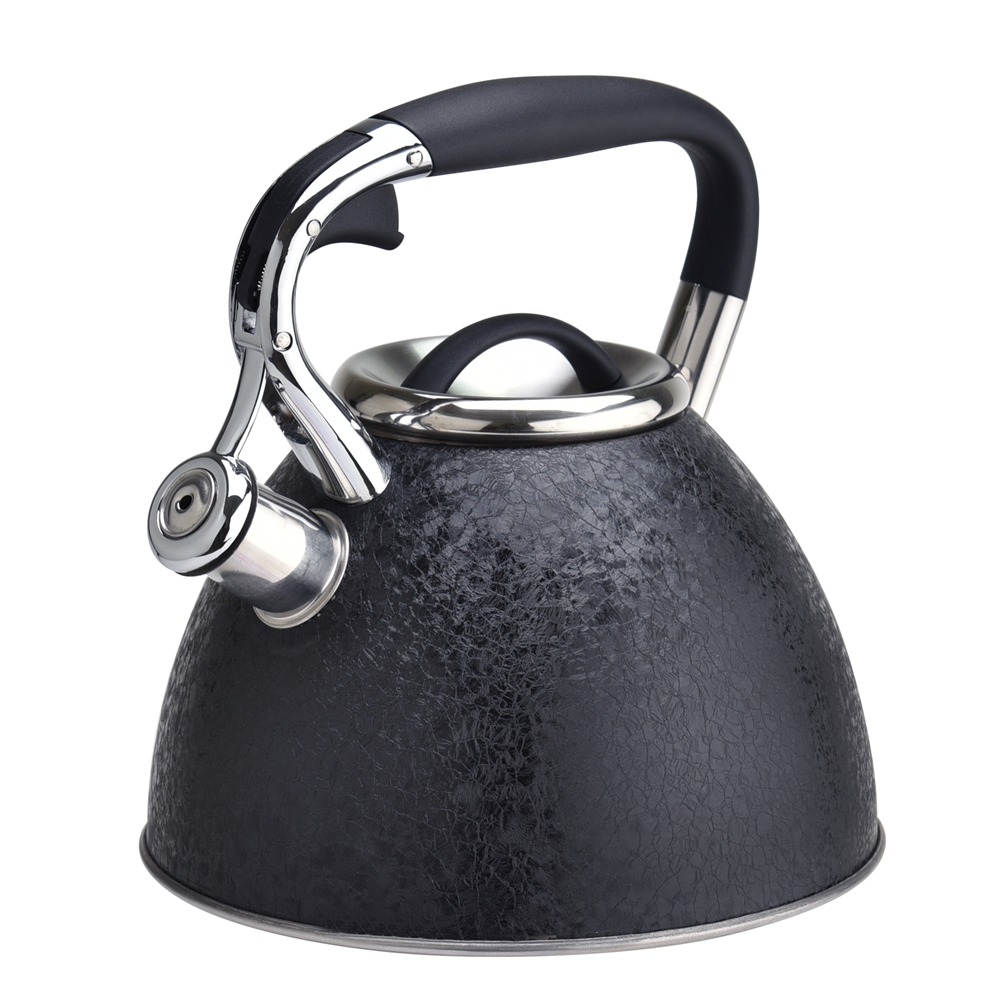 Stainless steel stovetop ice coating coffee tea kettle