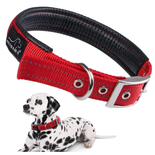 Soft Padded Dog Collar with Buckle