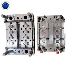 China New Design Two Color PET Plastic Bottle Molds & Molding Companies