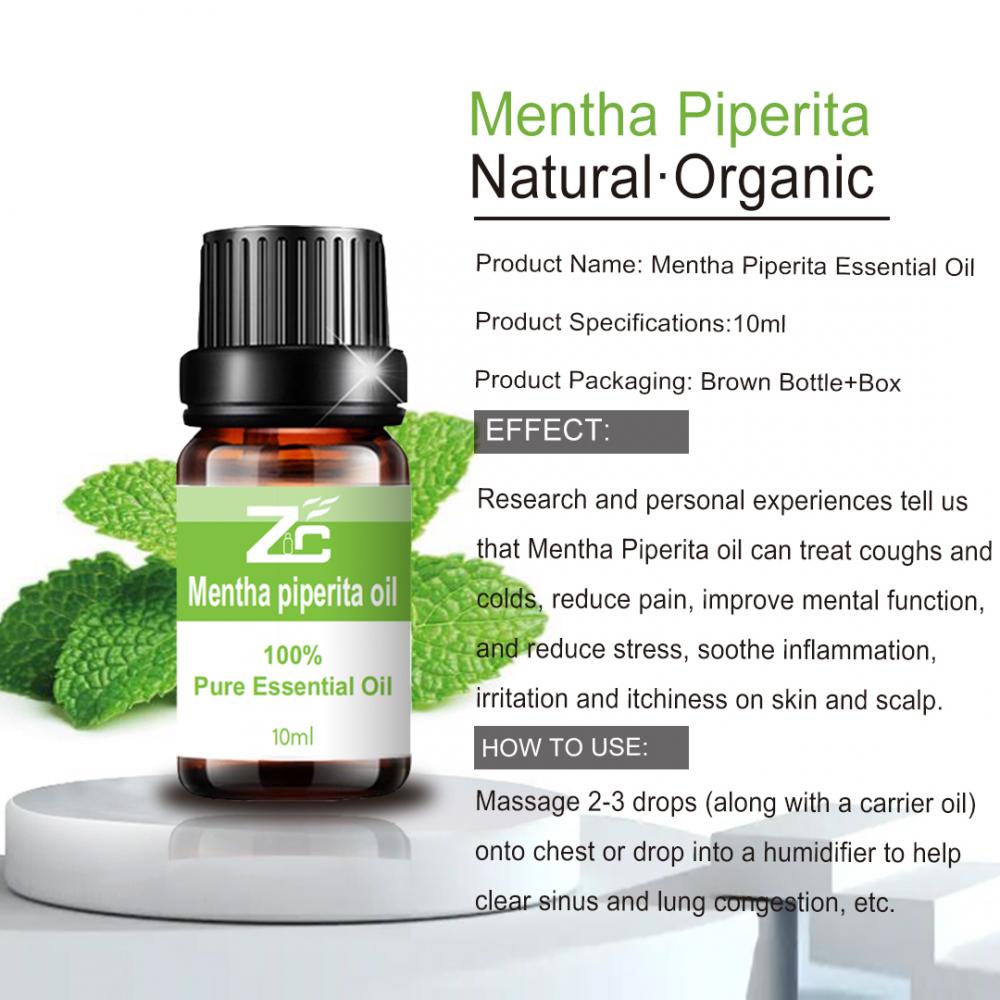 100% อาหารออร์แกนิกเกรด Mentha Piperita