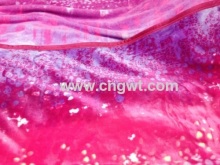 Golden Mink Wool Blanket?