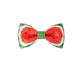 fruits impression mignonne bowbow bowtie pour la fête