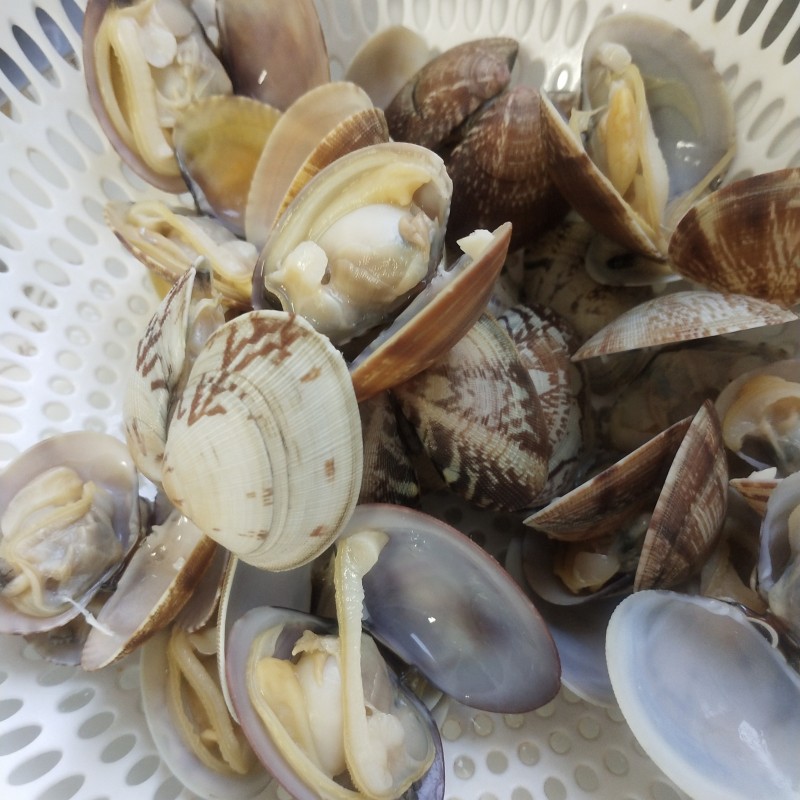 gorąca wyprzedaż zamrożona skorupa Cała małże