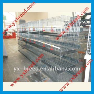 H-type broiler chicken cage