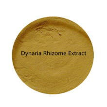 Buy online raw materials Dynaria Rhizome Extract powder