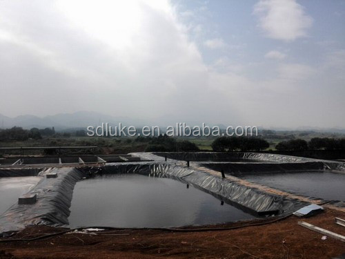 Plastic Film HDPE Geomembrane Liner for Fishing Pond