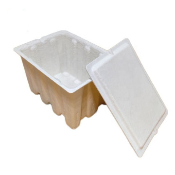 Sugarcane Biodegradable Disposable Serving Trays With Lids