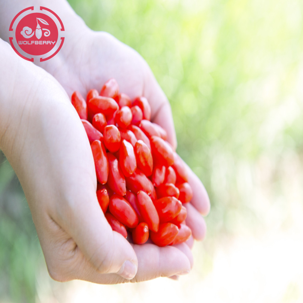 Abbassare il livello di colesterolo bacche di goji di zucchero nel sangue