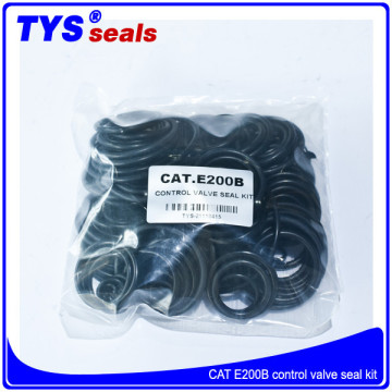 E200B Control Valve Seal Kit