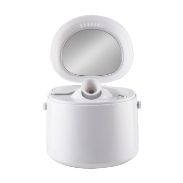 Mist Sprayer Ionic Spray Nano Portable Facial Steamer