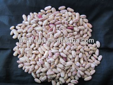 light speckled kidney bean