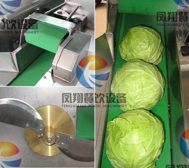 Electric Multifunction Vegetable Cutting Chopping Machine for Different Root and Leaf Vegetables (FC-301)