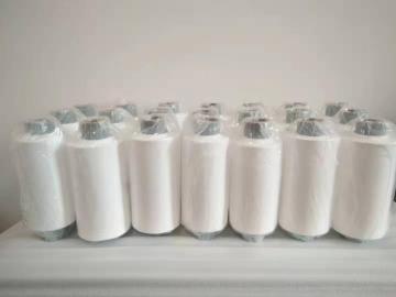 Pure hydrophobic PTFE Filter Membrane