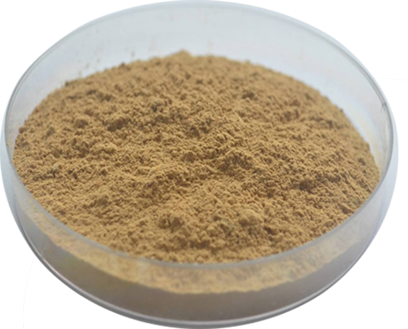 Oyster Extract powder