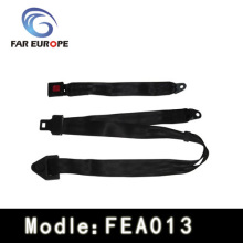 Non-standard Replacement Seat Belt?