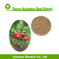 Ruscus Aculeatus Root Extract Ruscogenins Powder