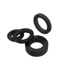 Silicon Carbide Sealing Rings SIC G6