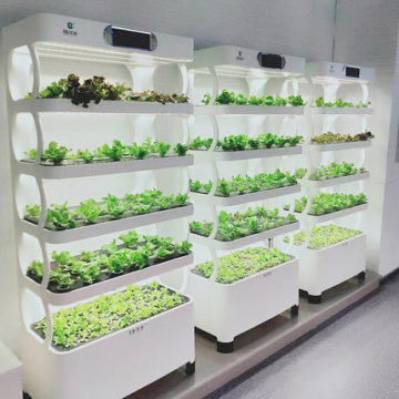 Systèmes de croissance AquaPonics hydroponique en croissance à l&#39;intérieur