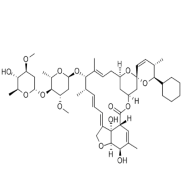 Macrolide Antiparasitic Drugs Doramectin