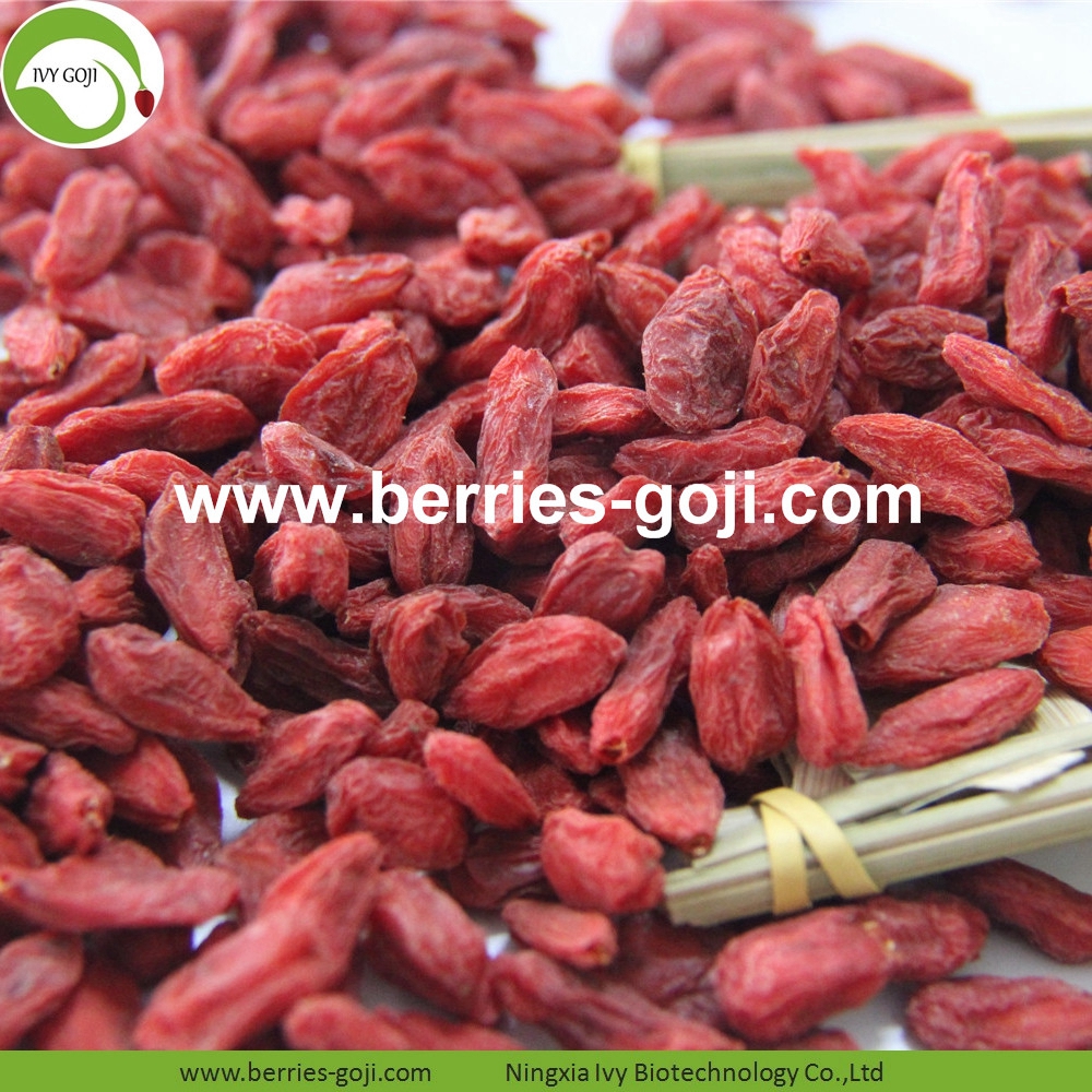 goji berry