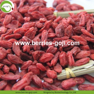 Pasokan Pabrik Buah Herbal Type Harga Goji Berries